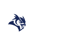 Rice Owls